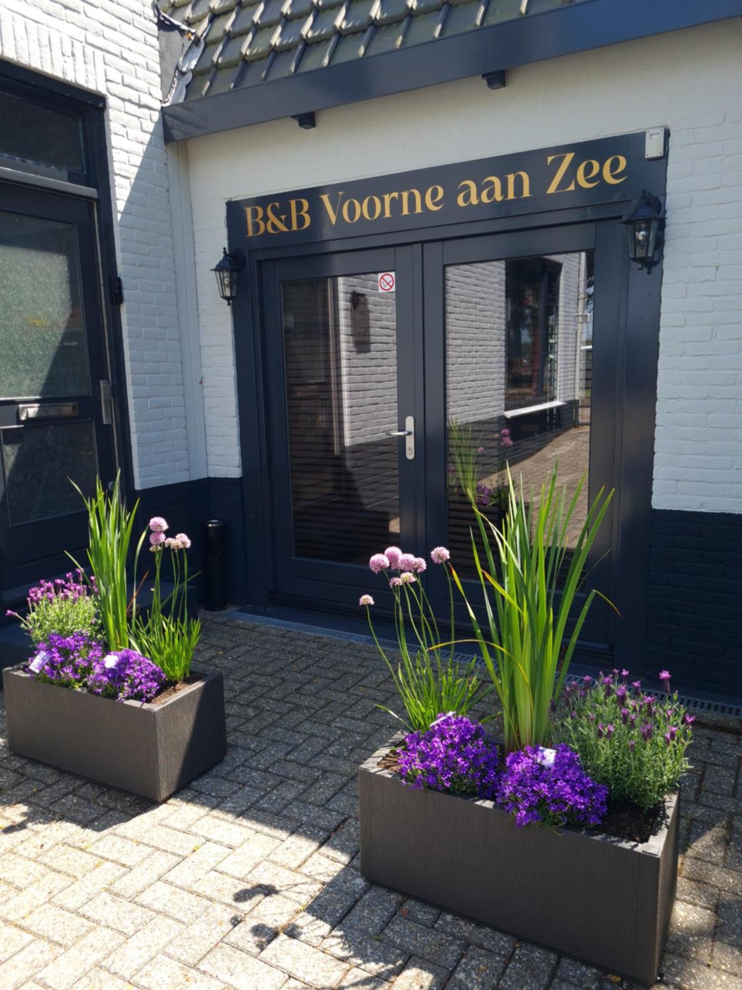 B&B Voorne Aan Zee Rockanje Zewnętrze zdjęcie